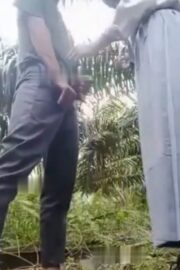 Bolos Sekolah Ketemuan Di Kebun Sawit